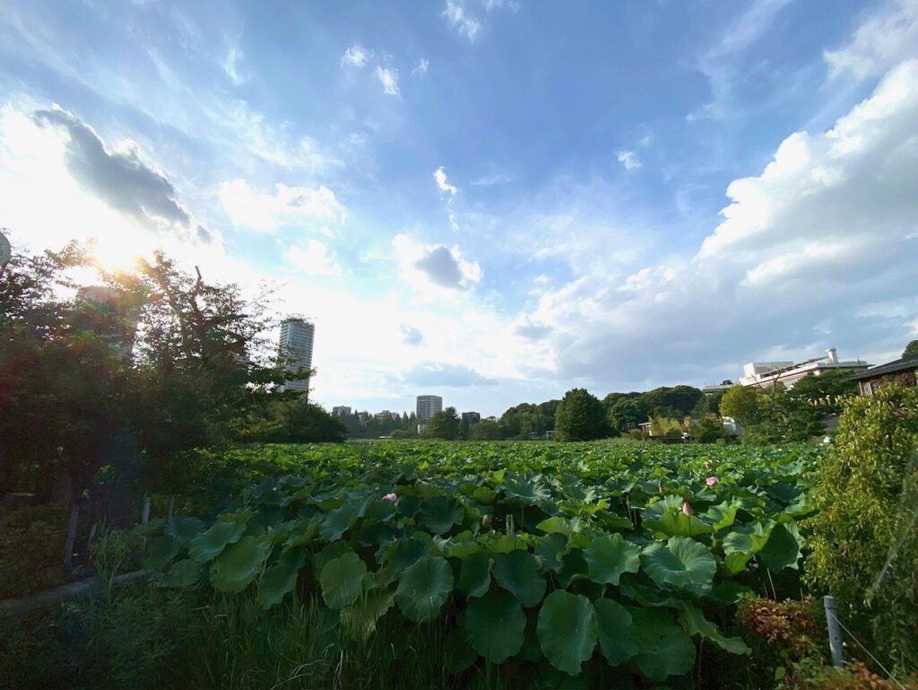 不忍池